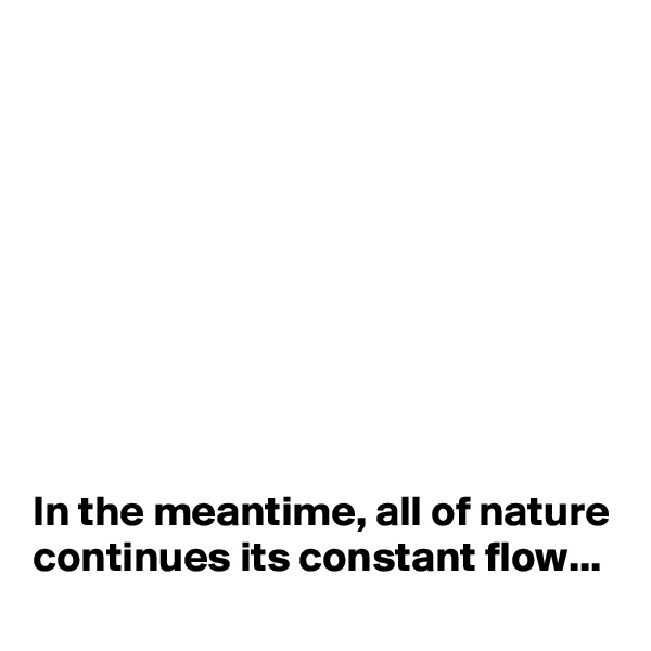 









In the meantime, all of nature continues its constant flow...