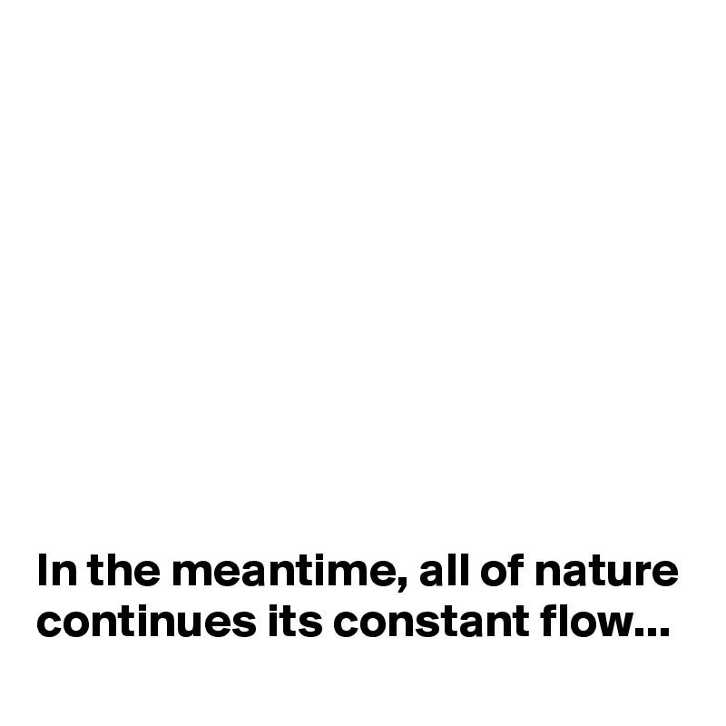 









In the meantime, all of nature continues its constant flow...