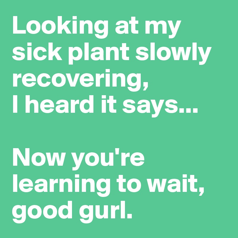 Looking at my sick plant slowly recovering, 
I heard it says...

Now you're learning to wait, good gurl.