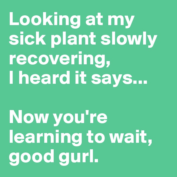 Looking at my sick plant slowly recovering, 
I heard it says...

Now you're learning to wait, good gurl.