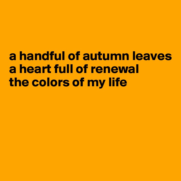 


a handful of autumn leaves
a heart full of renewal
the colors of my life





