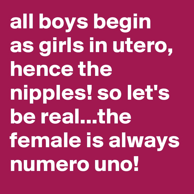 all boys begin as girls in utero, hence the nipples! so let's be real...the female is always numero uno!