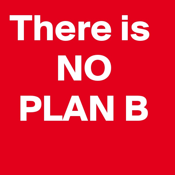 There is 
NO PLAN B