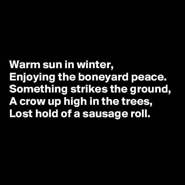 



Warm sun in winter,
Enjoying the boneyard peace.
Something strikes the ground,
A crow up high in the trees,
Lost hold of a sausage roll.



