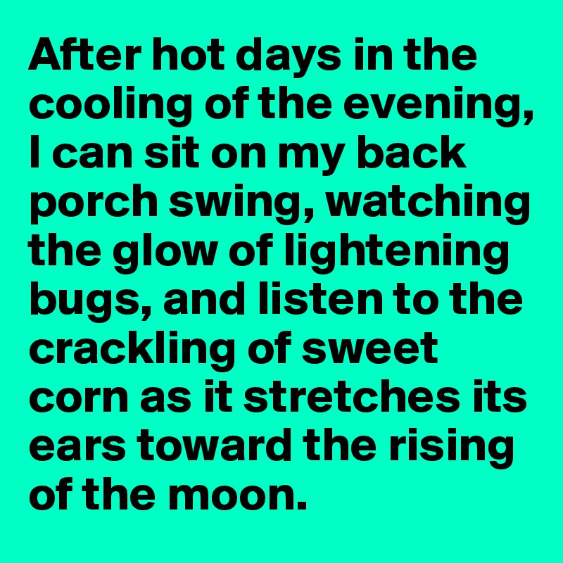 After hot days in the cooling of the evening, I can sit on my back porch swing, watching the glow of lightening bugs, and listen to the crackling of sweet corn as it stretches its ears toward the rising of the moon.