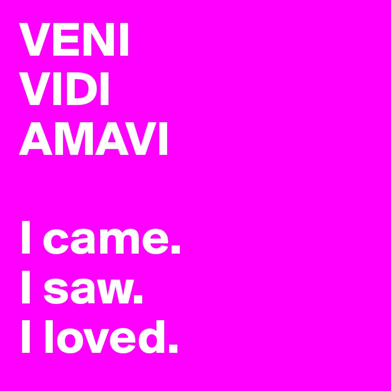 VENI
VIDI
AMAVI

I came. 
I saw. 
I loved.