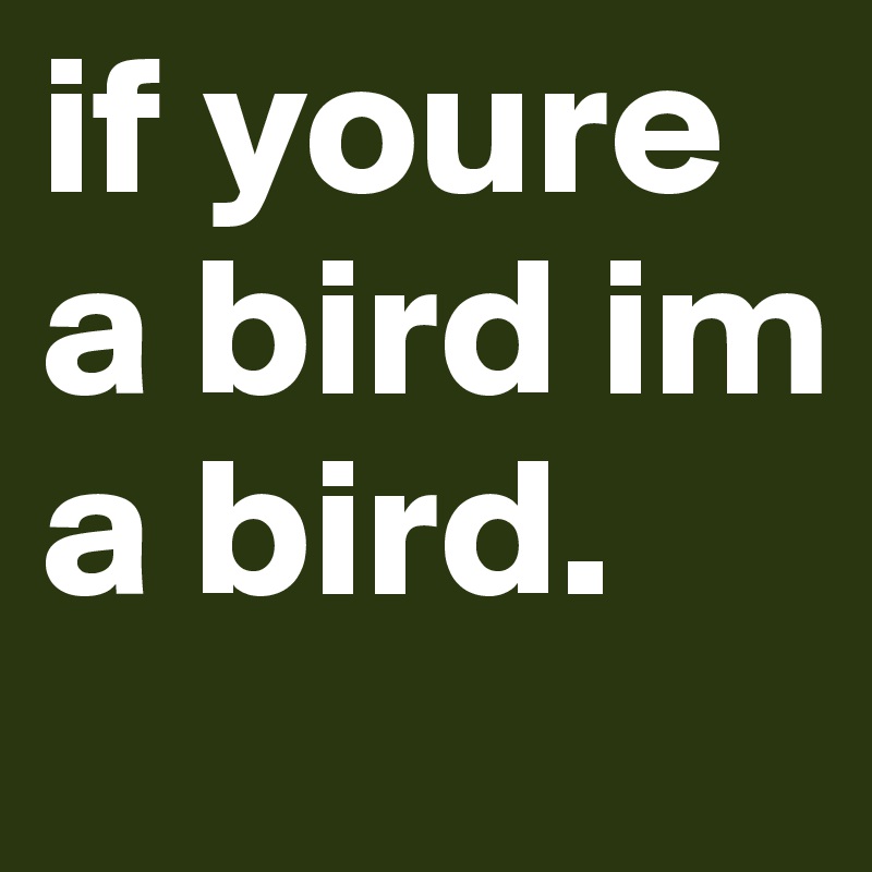 if youre a bird im a bird. 