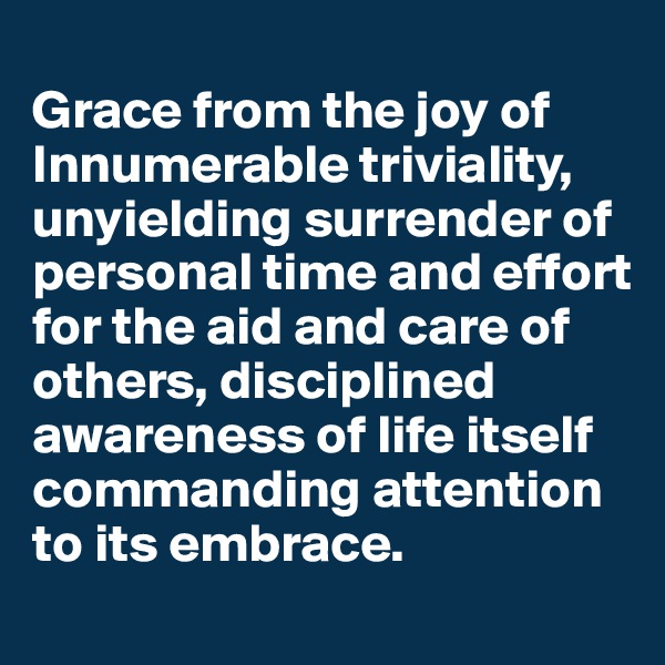 
Grace from the joy of Innumerable triviality, unyielding surrender of personal time and effort for the aid and care of others, disciplined awareness of life itself commanding attention to its embrace. 