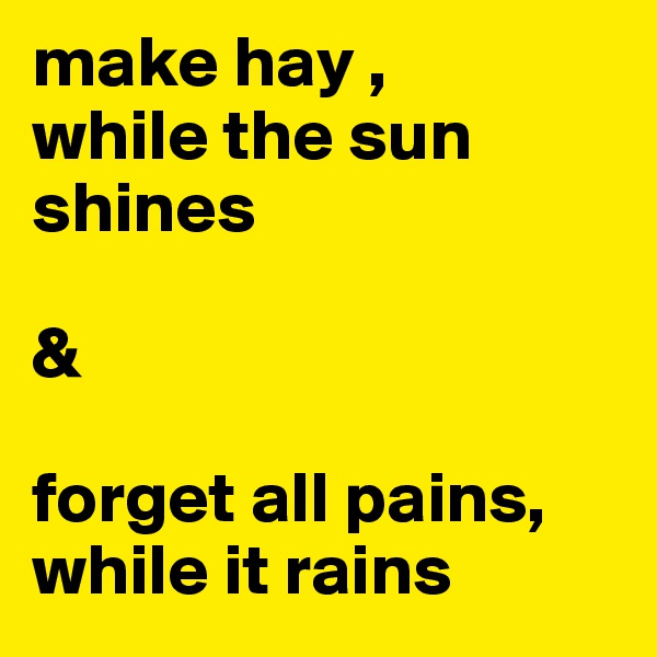 make hay , 
while the sun shines 

&

forget all pains, while it rains