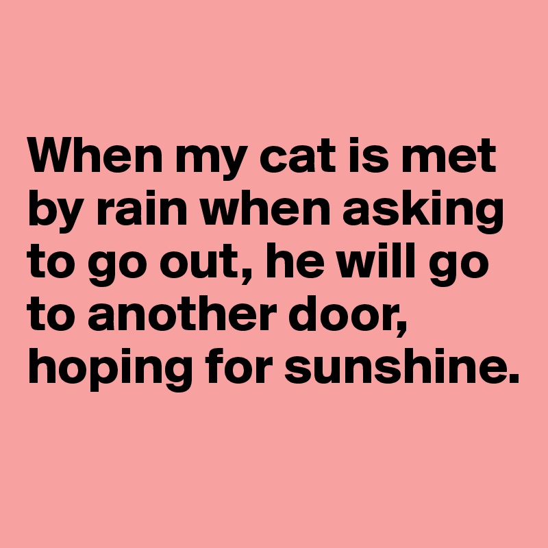 

When my cat is met by rain when asking to go out, he will go to another door, hoping for sunshine.

 
