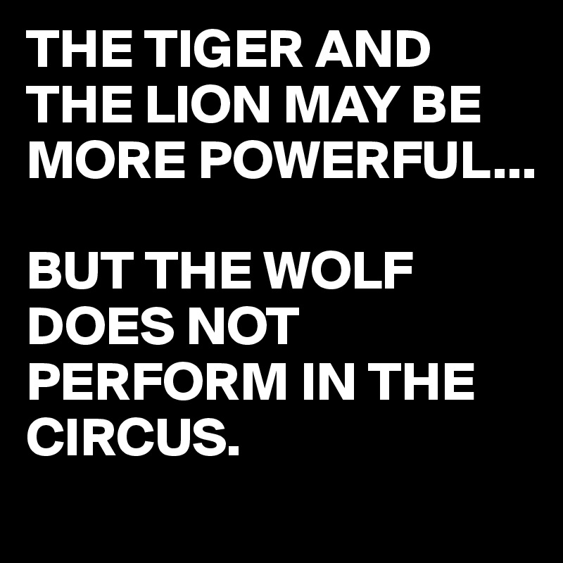 The tiger and the lion may be more powerful but the wolf does not