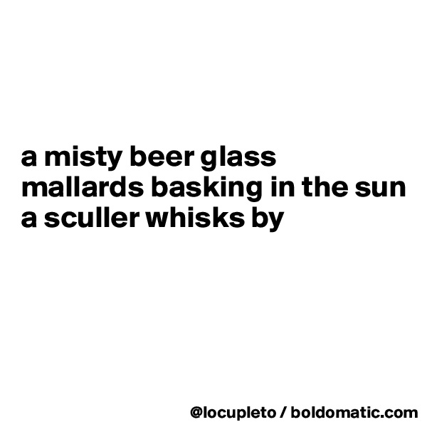 



a misty beer glass
mallards basking in the sun
a sculler whisks by




