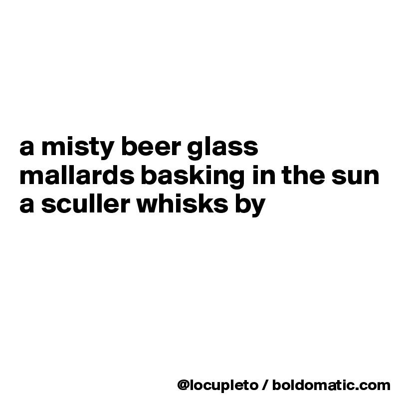 



a misty beer glass
mallards basking in the sun
a sculler whisks by




