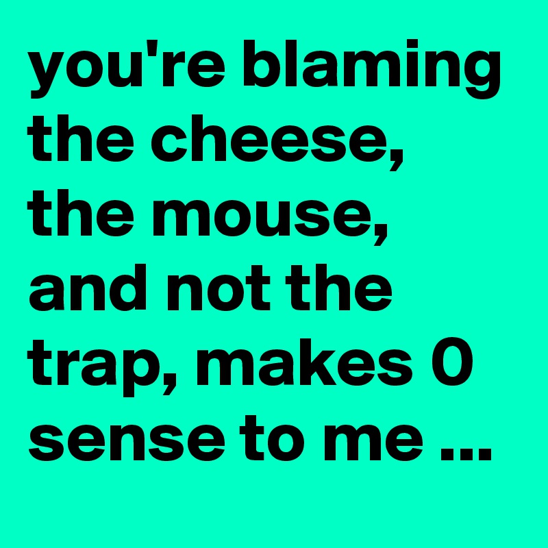 you're blaming the cheese, the mouse, and not the trap, makes 0 sense to me ...