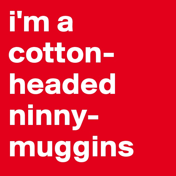 i'm a cotton-headed ninny-muggins