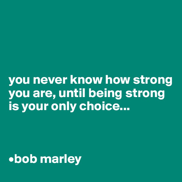 




you never know how strong you are, until being strong is your only choice...



•bob marley