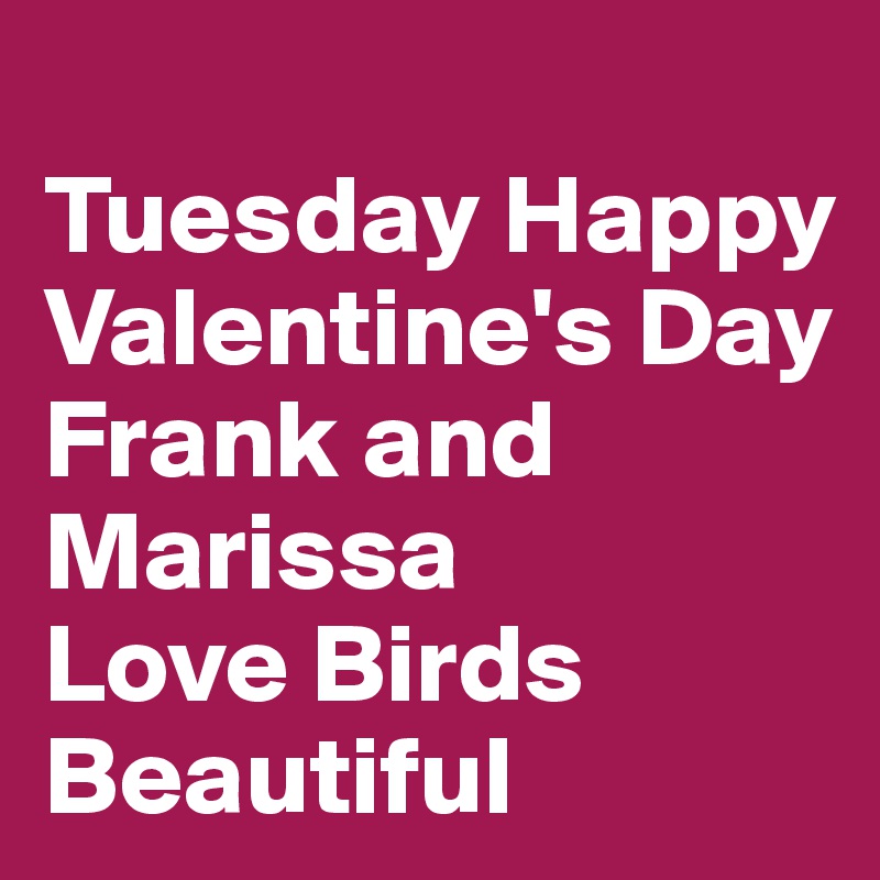 
Tuesday Happy
Valentine's Day
Frank and Marissa
Love Birds Beautiful 