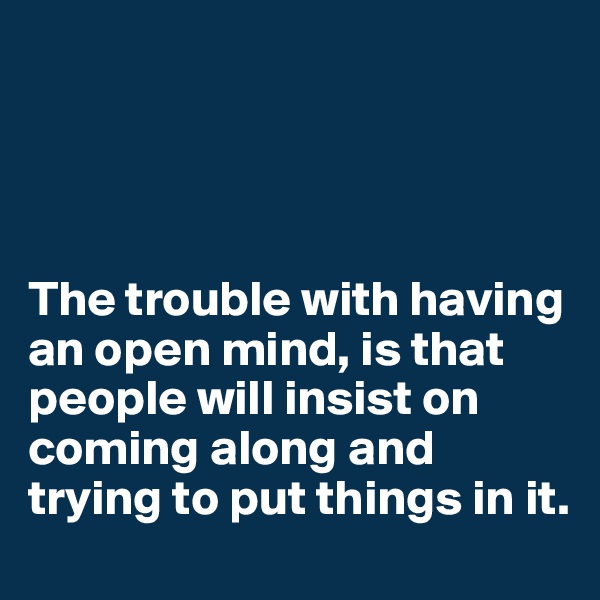




The trouble with having an open mind, is that people will insist on coming along and trying to put things in it.