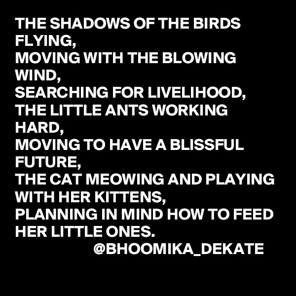 THE SHADOWS OF THE BIRDS FLYING,
MOVING WITH THE BLOWING WIND,
SEARCHING FOR LIVELIHOOD,
THE LITTLE ANTS WORKING HARD,
MOVING TO HAVE A BLISSFUL FUTURE,
THE CAT MEOWING AND PLAYING WITH HER KITTENS,
PLANNING IN MIND HOW TO FEED HER LITTLE ONES.
                        @BHOOMIKA_DEKATE
