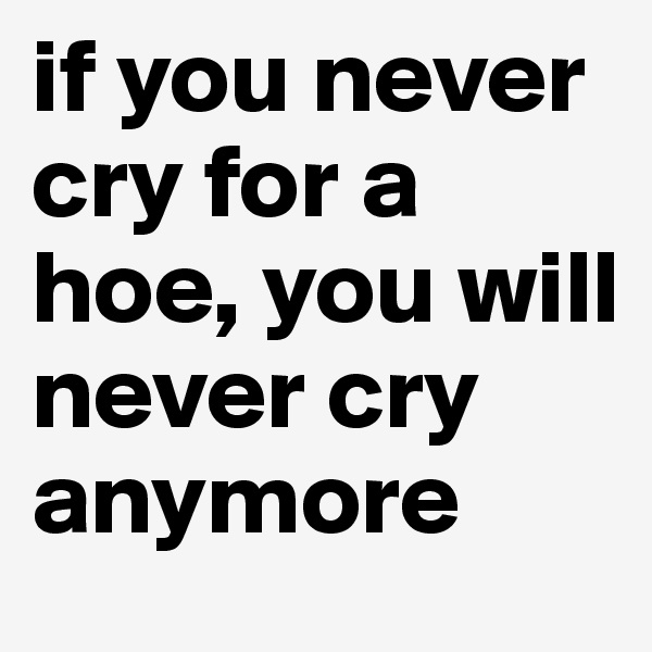 if you never cry for a hoe, you will never cry anymore