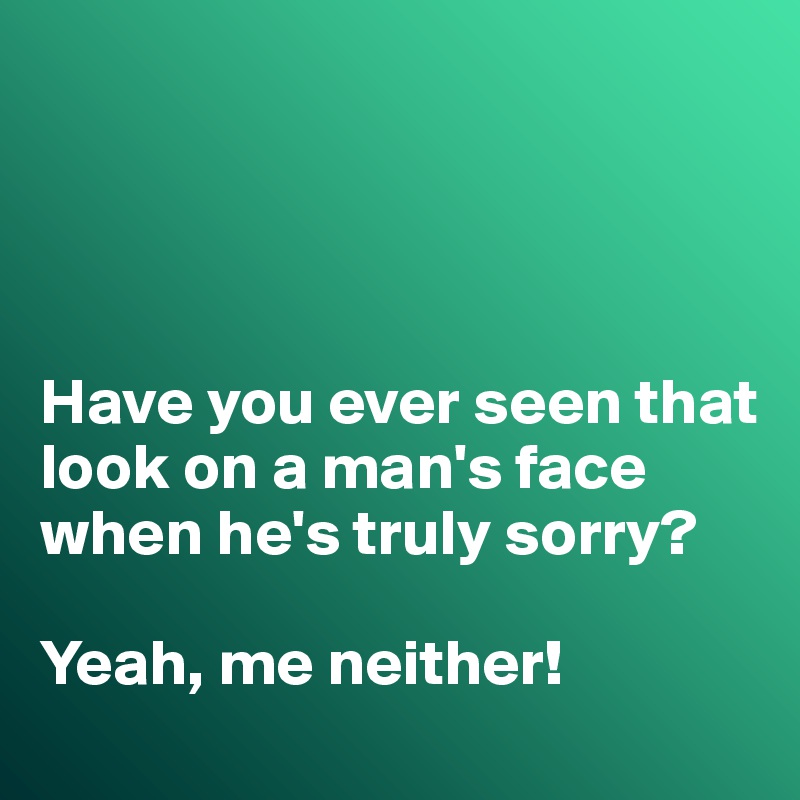 




Have you ever seen that look on a man's face when he's truly sorry?

Yeah, me neither!