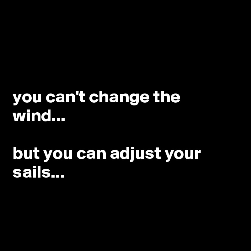 



you can't change the wind...

but you can adjust your sails...


