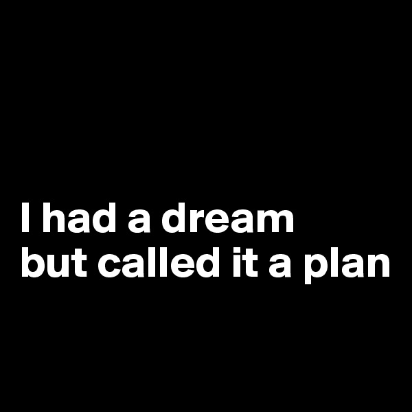 



I had a dream 
but called it a plan

