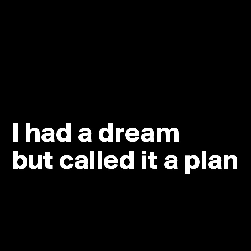 



I had a dream 
but called it a plan

