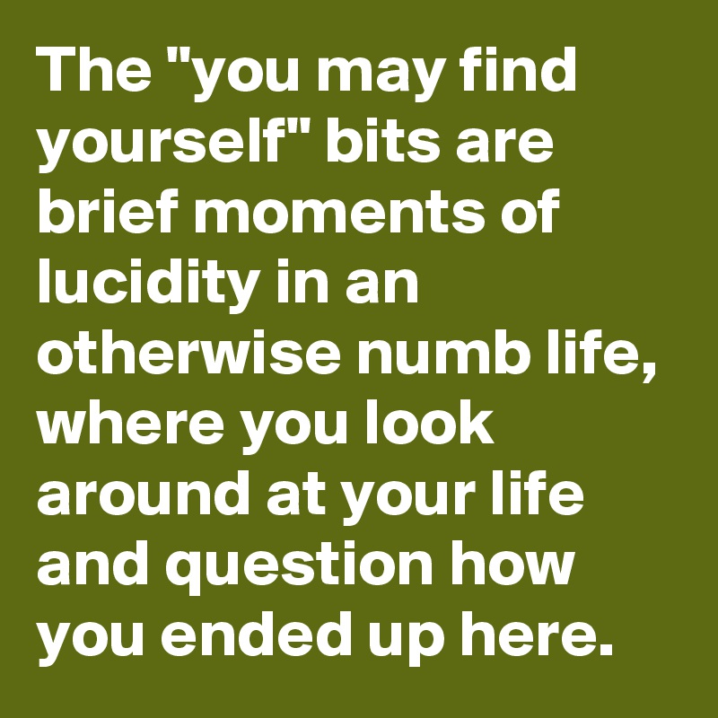 The "you may find yourself" bits are brief moments of lucidity in an otherwise numb life, where you look around at your life and question how you ended up here. 