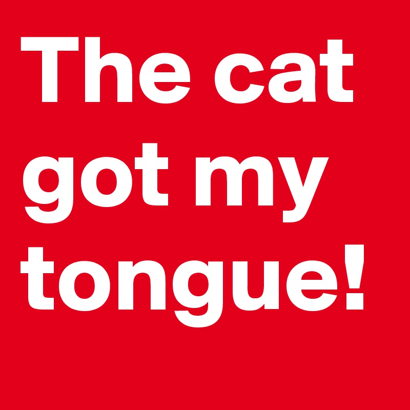 The cat got my tongue!