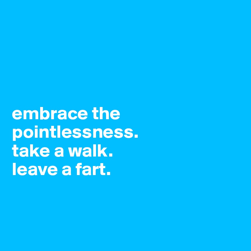 




embrace the pointlessness. 
take a walk. 
leave a fart.



