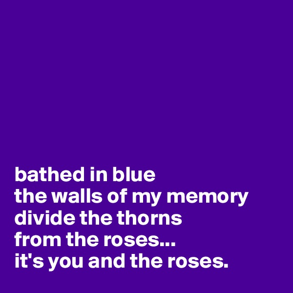 






bathed in blue
the walls of my memory
divide the thorns 
from the roses...
it's you and the roses.