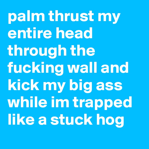 palm thrust my entire head through the fucking wall and kick my big ass while im trapped like a stuck hog