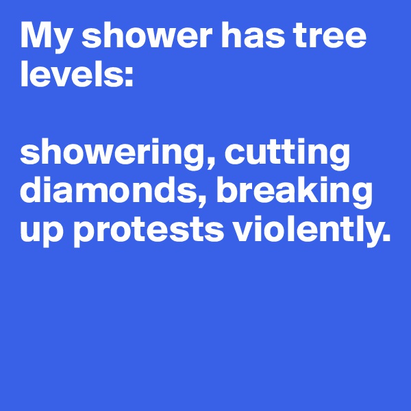 My shower has tree levels:

showering, cutting diamonds, breaking up protests violently.


