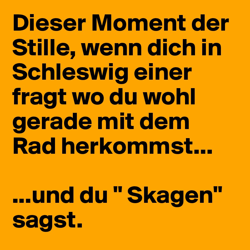 Dieser Moment der Stille, wenn dich in Schleswig einer fragt wo du wohl gerade mit dem Rad herkommst...

...und du " Skagen" sagst. 