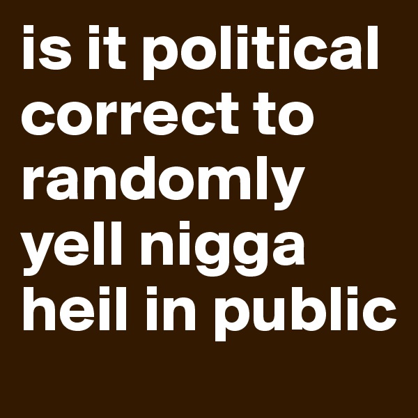 is it political correct to randomly yell nigga heil in public