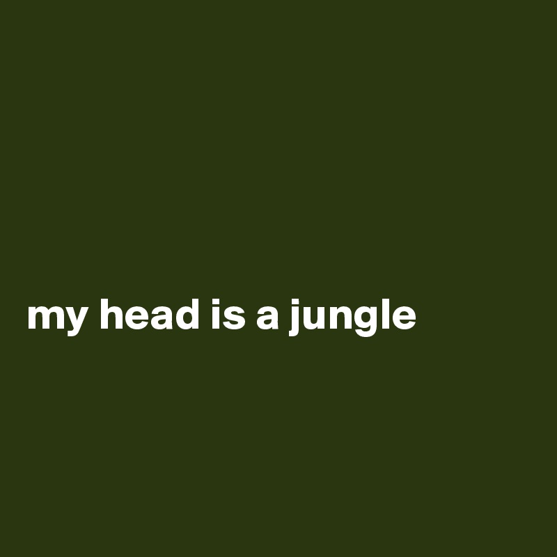 





my head is a jungle



