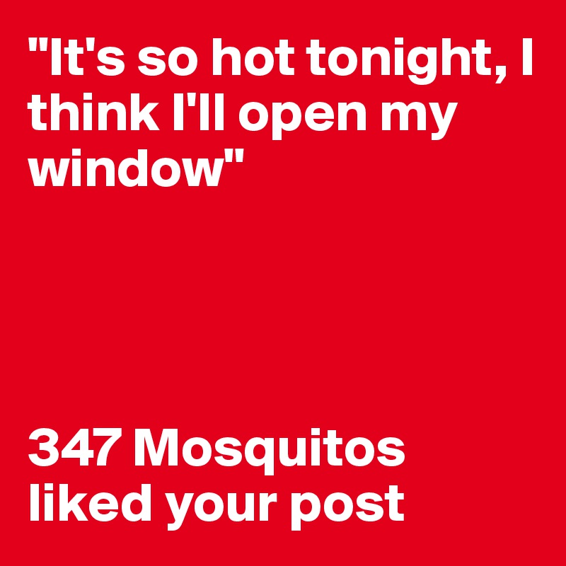 "It's so hot tonight, I think I'll open my window"




347 Mosquitos liked your post