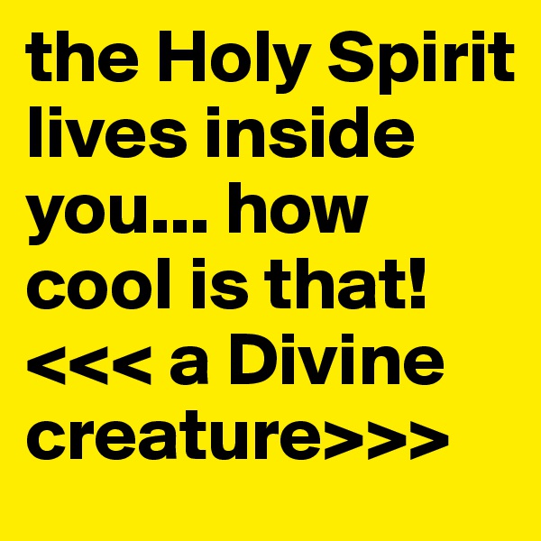 the Holy Spirit lives inside you... how cool is that! <<< a Divine creature>>>