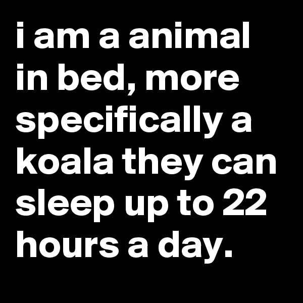 i am a animal in bed, more specifically a koala they can sleep up to 22 hours a day.