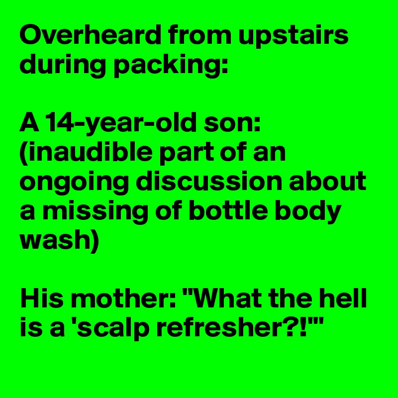 Overheard from upstairs during packing:

A 14-year-old son: (inaudible part of an ongoing discussion about a missing of bottle body wash)

His mother: "What the hell is a 'scalp refresher?!'"
