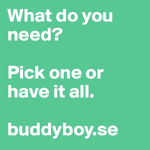 What do you need? 

Pick one or have it all.

buddyboy.se
