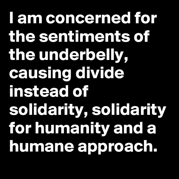 I am concerned for the sentiments of the underbelly, causing divide instead of solidarity, solidarity for humanity and a humane approach.