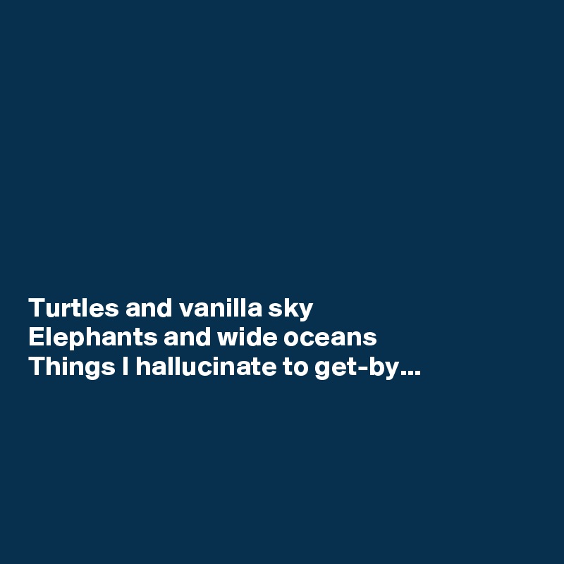 








Turtles and vanilla sky
Elephants and wide oceans
Things I hallucinate to get-by...




