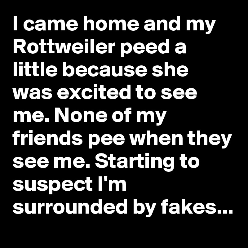 I came home and my Rottweiler peed a little because she was excited to see me. None of my friends pee when they see me. Starting to suspect I'm surrounded by fakes...