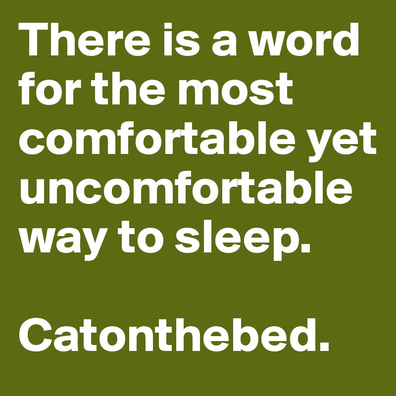 There is a word for the most comfortable yet uncomfortable way to sleep.

Catonthebed.