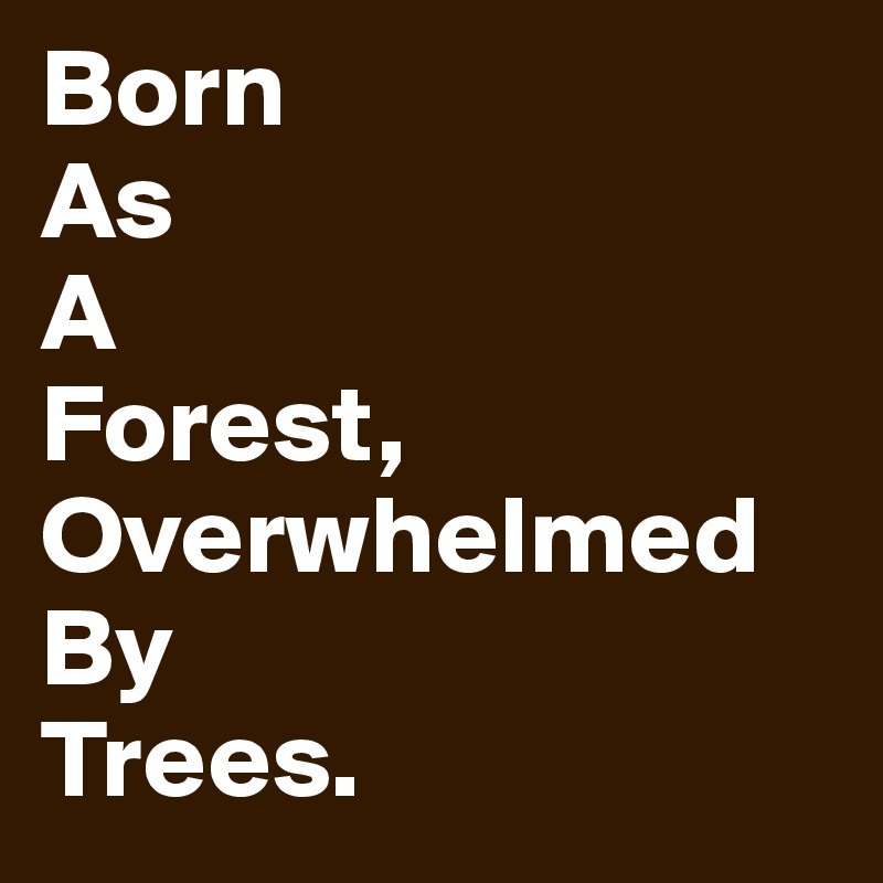 Born
As
A 
Forest,
Overwhelmed
By
Trees. 