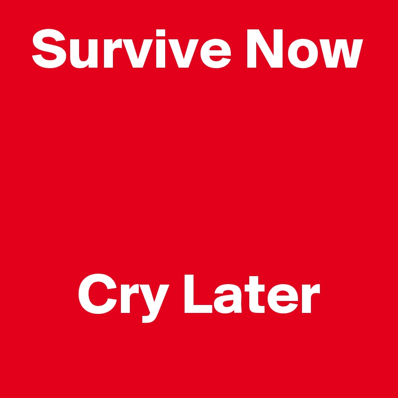  Survive Now



     Cry Later