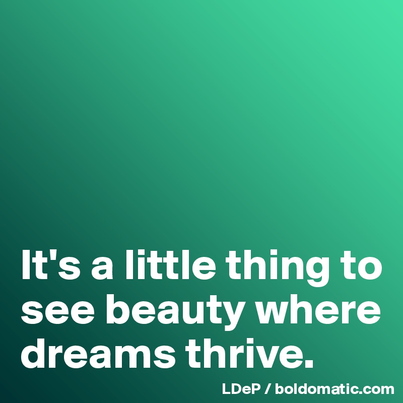 




It's a little thing to see beauty where dreams thrive. 