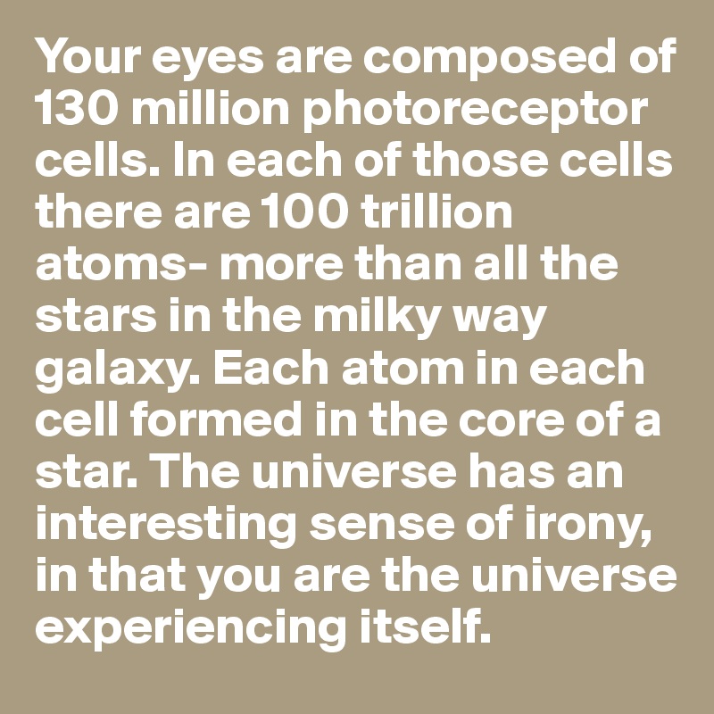 Your eyes are composed of 130 million photoreceptor cells. In each of those cells there are 100 trillion atoms- more than all the stars in the milky way galaxy. Each atom in each cell formed in the core of a star. The universe has an interesting sense of irony, in that you are the universe experiencing itself.